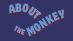About the Monkey